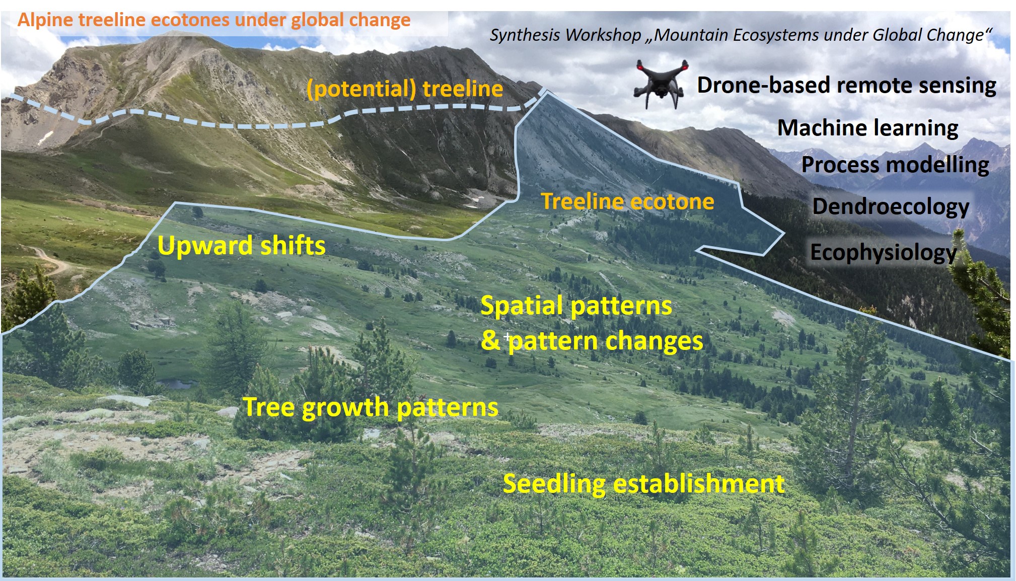 IMC2022 treeline session summary 1